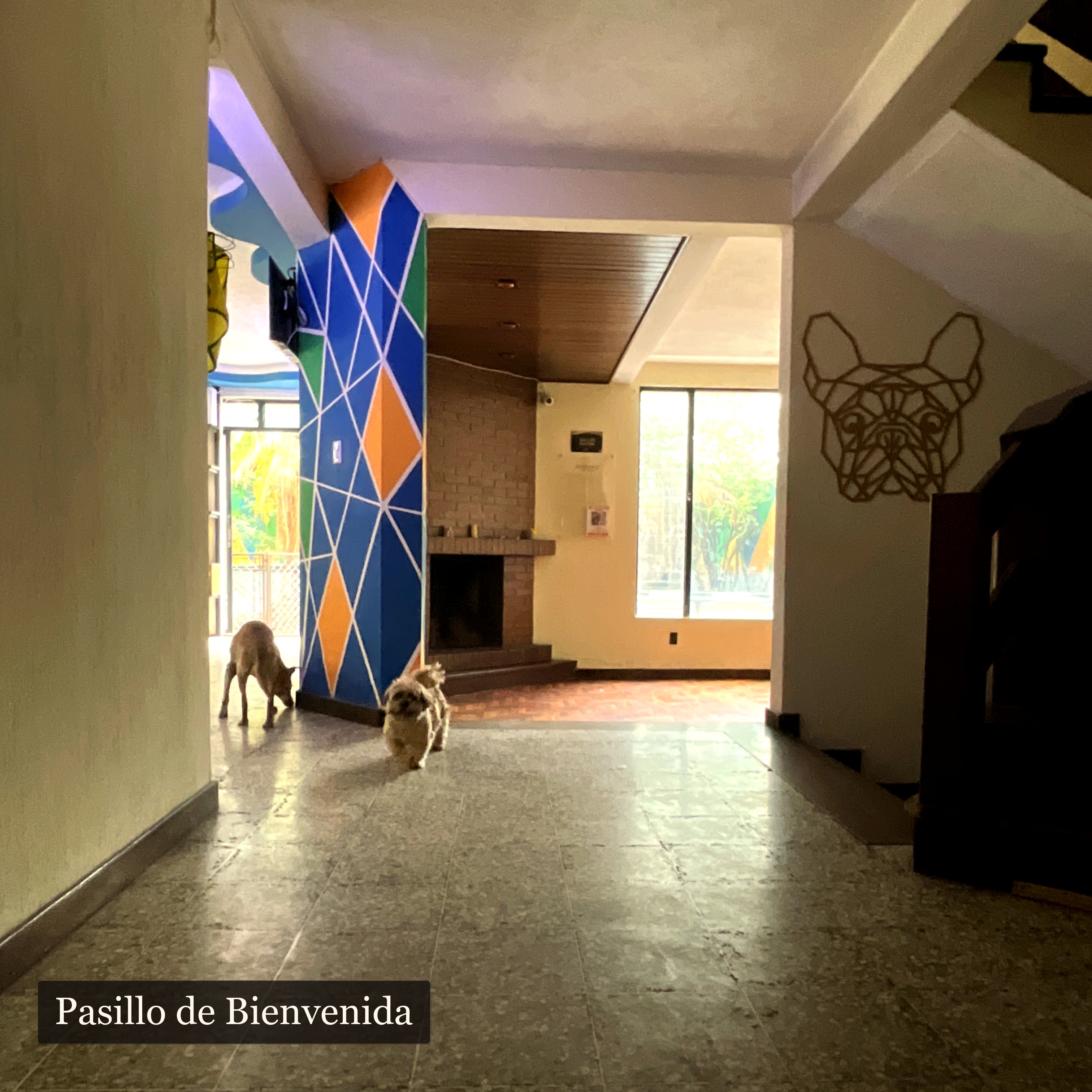 clínica