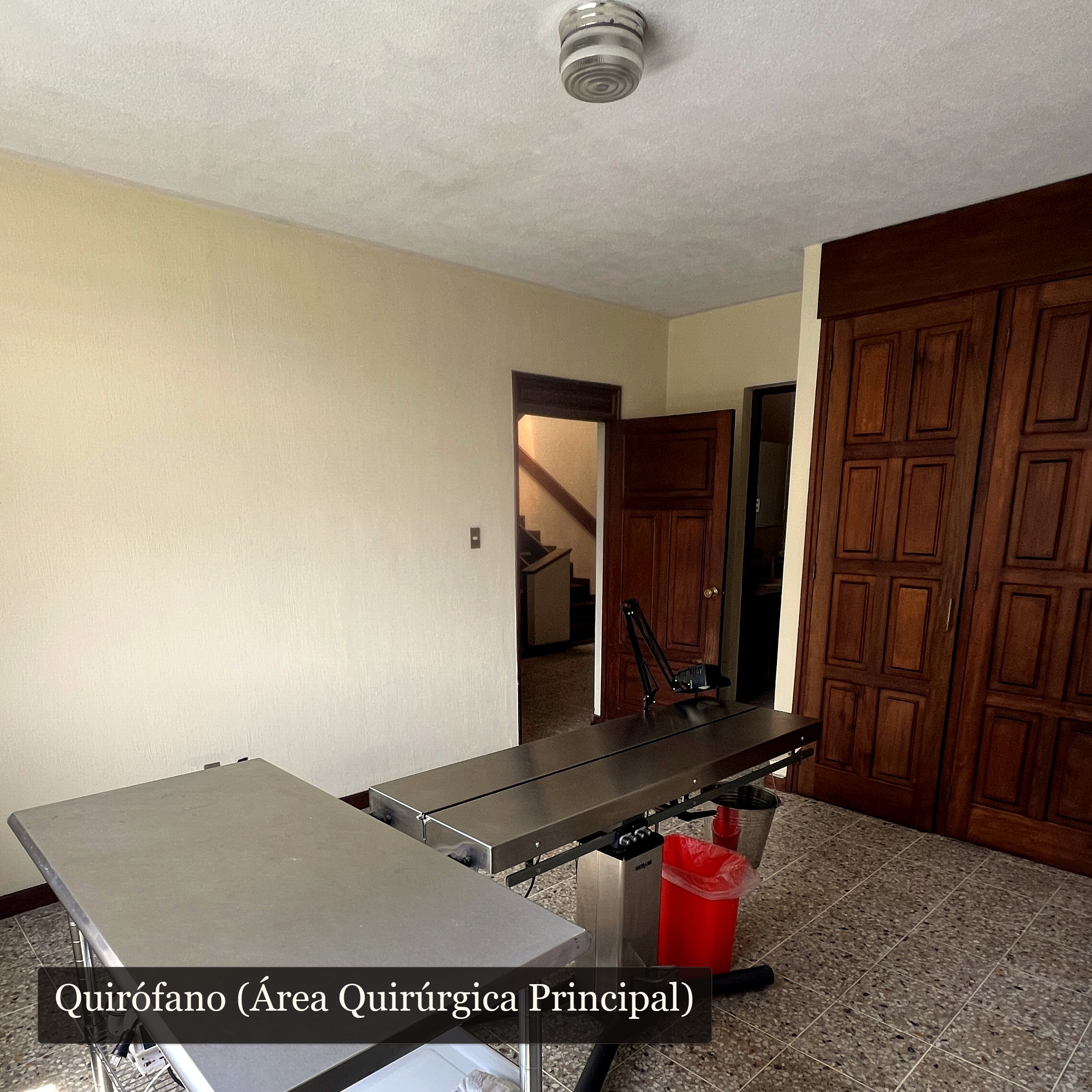 Consultas